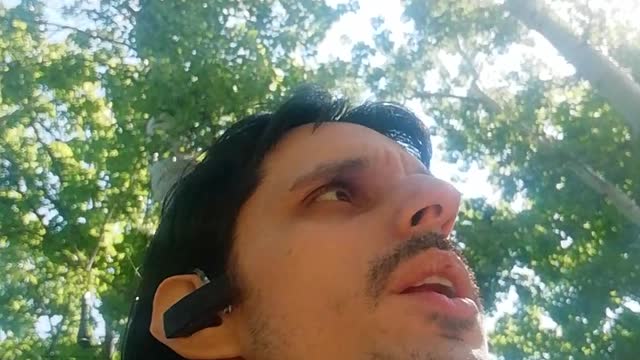 INTROSPECTION - should one sell their virginity for 1 million dollars?