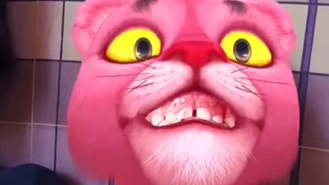 Prank ,testing the app, pink panther