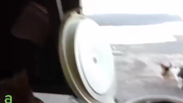 breakfast with friends