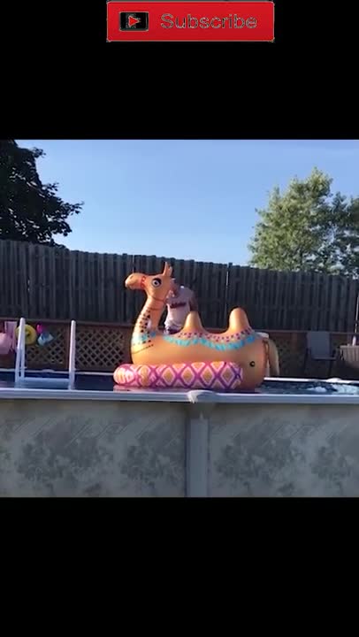 Best Funny Video Clips #shorts (94)