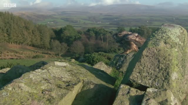 Eagle Owl Invasion | Five Owl Farm | BBC Earth