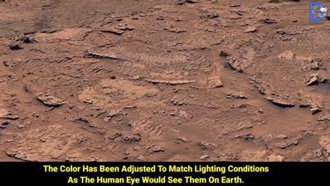 NASA's Mars Rover Capture Latest Shocking Scene of Mars Life -Perseverance Live Images