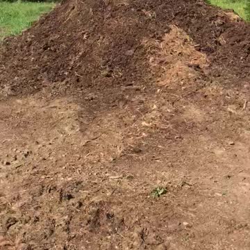 Horse manure composting for use in growing nursery stock