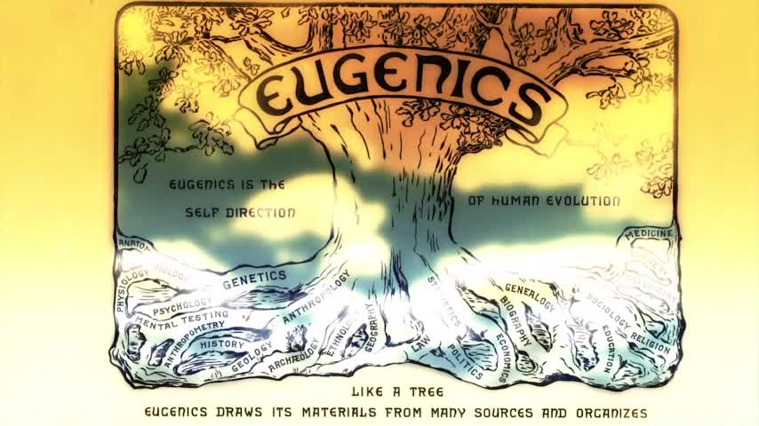 Shade The Motion Picture