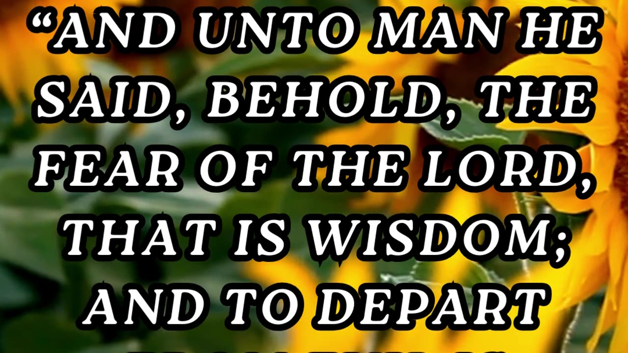 And unto man he said, Behold, the fear of the Lord, that is wisdom