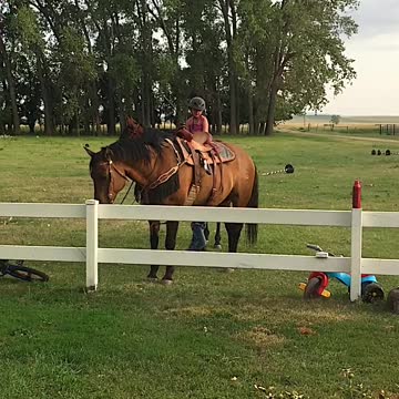 Little Girl And Her Horse Mirrored from Face Book Upload