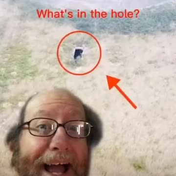 Reptilian underworld exposed in 2021