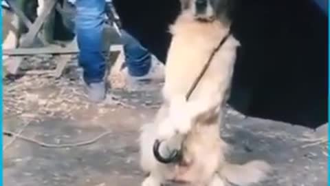 Funny moments with cute humor!! 😁😁😁