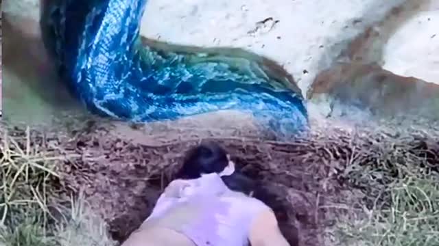 funny #funny video#Must watch new funny comedy videos 2022 best amazing funny comedy