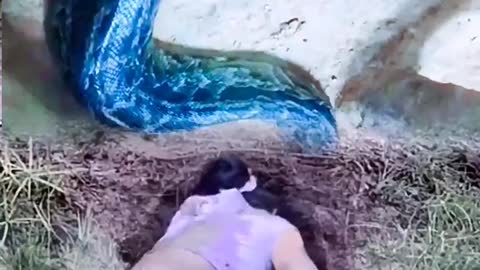 funny #funny video#Must watch new funny comedy videos 2022 best amazing funny comedy