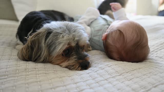 cute baby and puppy playing in the bed .