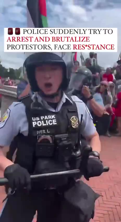 Pro Palestine rioters are dragging officers like rag dolls