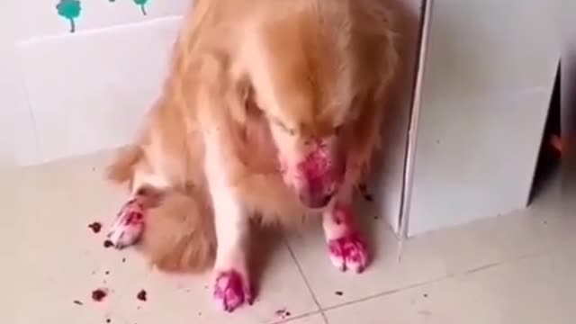 When the kids are too quiet