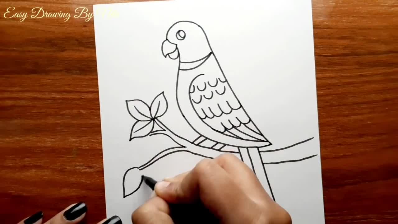 Parrot Drawing -- How to Draw Parrot Step by Step for Beginners -- Bird Drawing Colour