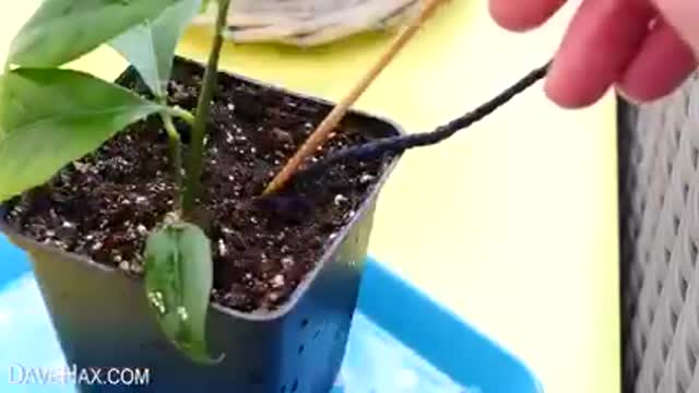 Some useful tricks to make life easy