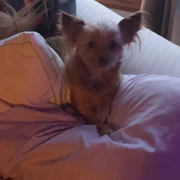 Good morning from Penny