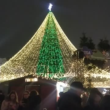 Huge Christmas Tree