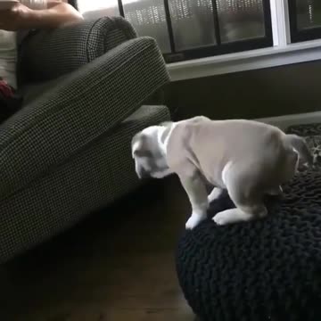 Don’t worry baby try one more time