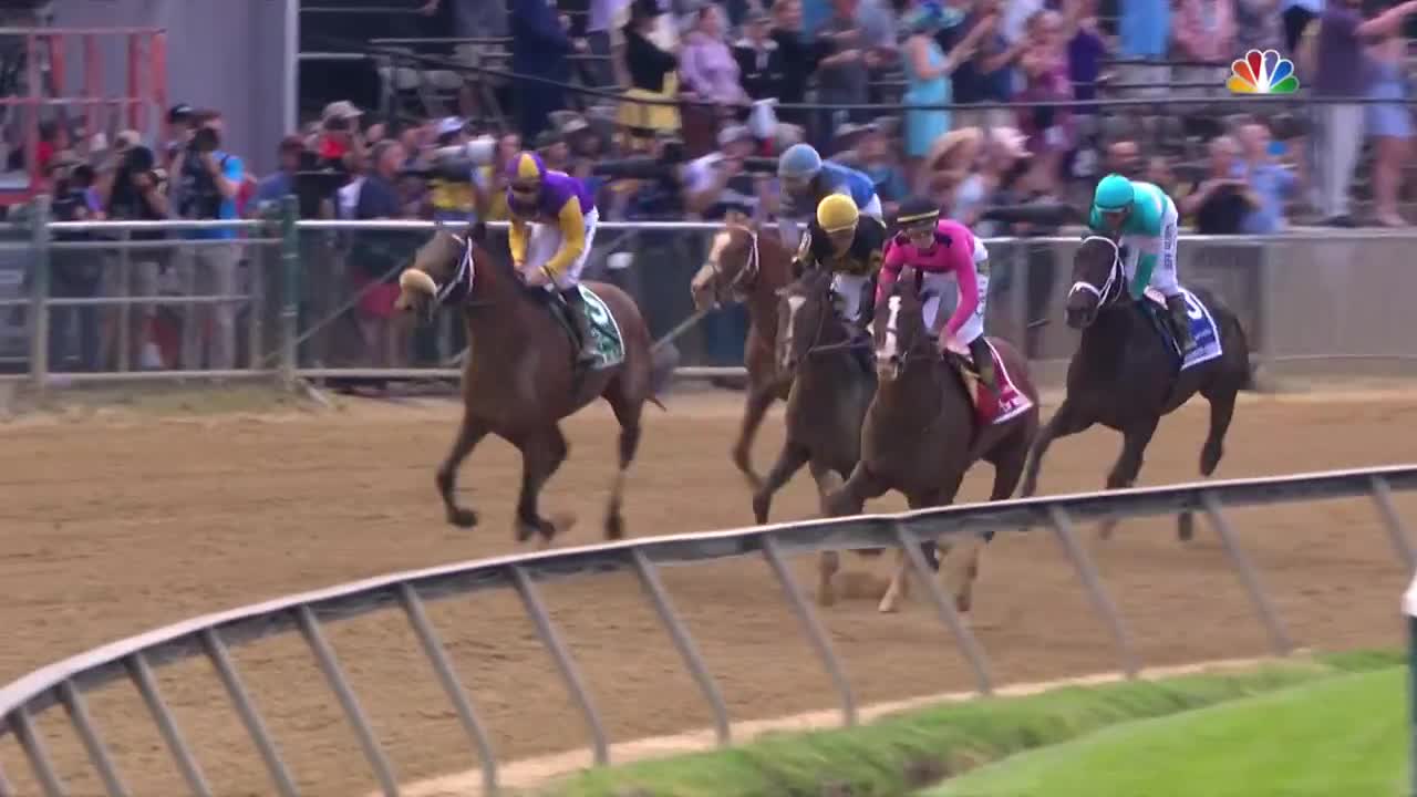 Preakness Stakes 2019 (FULL RACE), jockey John Velazquez thrown from horse | NBC Sports