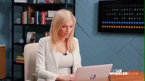 Liz Wheeler breaks down the Pfizer documents