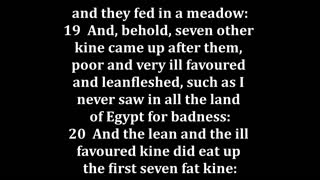 Genesis 41 King James version