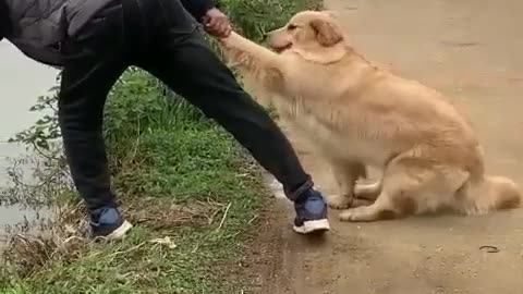 HELPING HAND