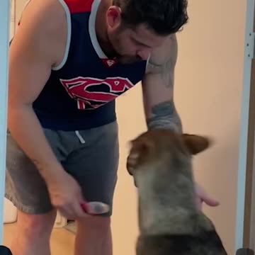 Hygenic Dog Wants Deodrant Like Dad 🤣