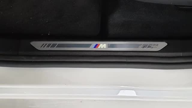 Details Of The BMW Door