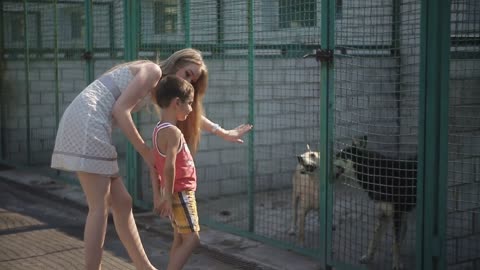 Mom and son search for pet in dog shelter