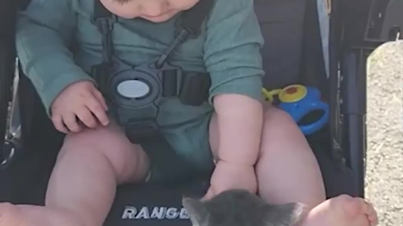 Babies love Cat❤️