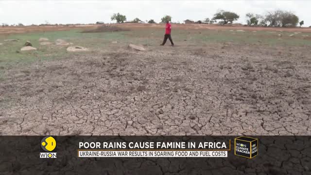 20 million Africans to suffer from famine by September