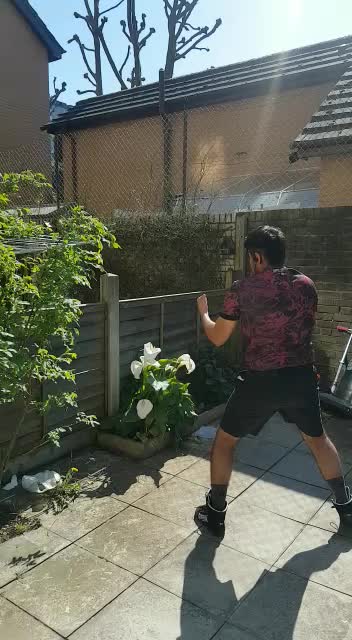 Boxing in my garden