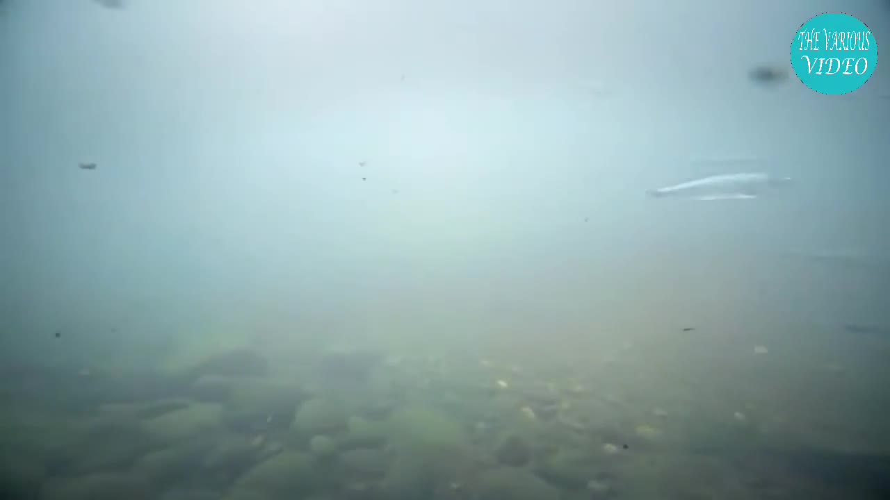 Dinagat Island Philippines