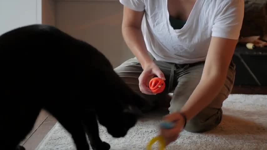 https://www.youtube.com/watch?v=zrDskEObBs8&t=297s