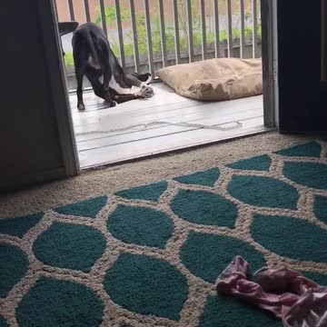 When you find a frog and just want to cuddle it!