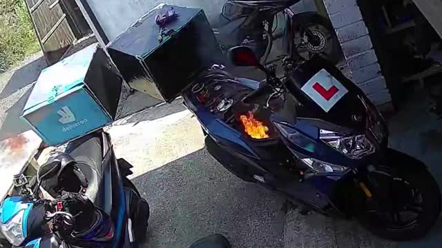 Funny Video SHARE AND LICENSE YOUR VIDEOS