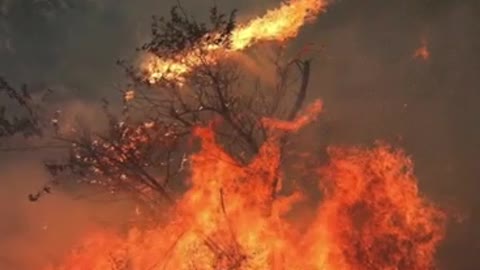 Fire in the Valley of Urdes, Spain