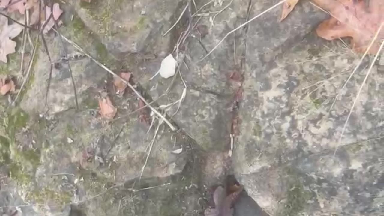 The Swan and the drill holes.