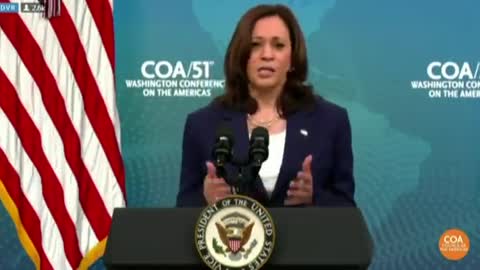 Kamala Points Finger at Climate When Cornered About Biden Border Crisis