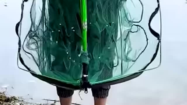 The coolest products that we all need!