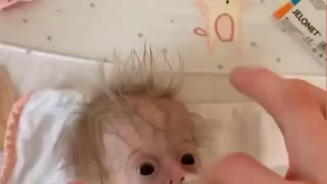 Just a reminder that all life is precious