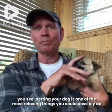 I Wonder What This Dog's Name Is 🤣