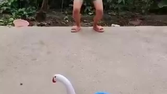 funny family