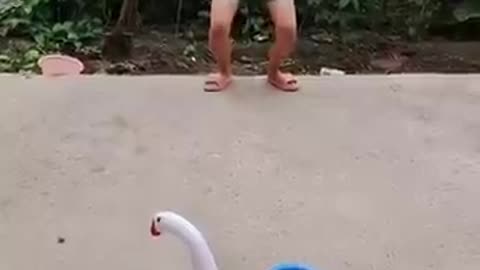funny family