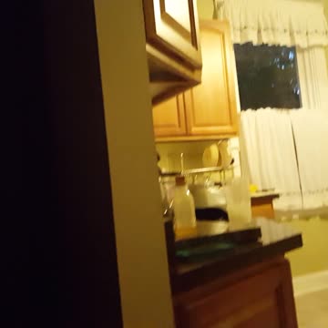 Funniest Reaction To Haircut Gone Wrong!