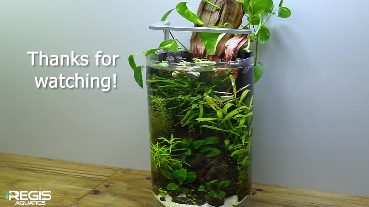 Building a Planted Vase Guppy Aquarium!