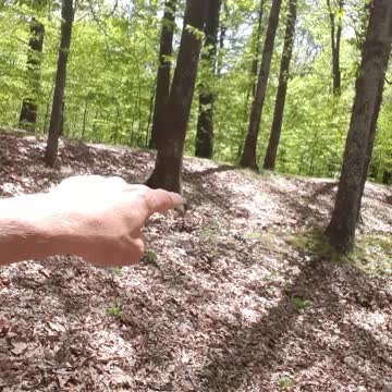 I make videos for my orphan children all over the world. TN Fort Pillow