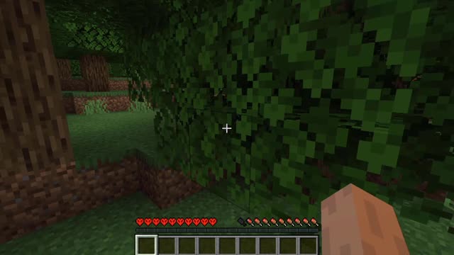 Minecraft 1.17.1_Shorts Modded 2nd time_Outting_2