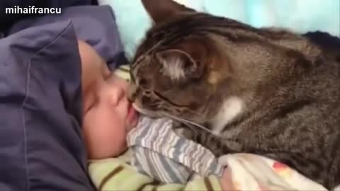 Best Of Funny Cats And Dogs Protecting Babies Compilation 2014 [NEW]