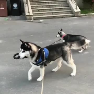 I lost my wife carelessly